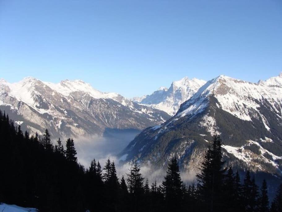 Charming Penthouse Appartement Lauterbrunnen Buitenkant foto