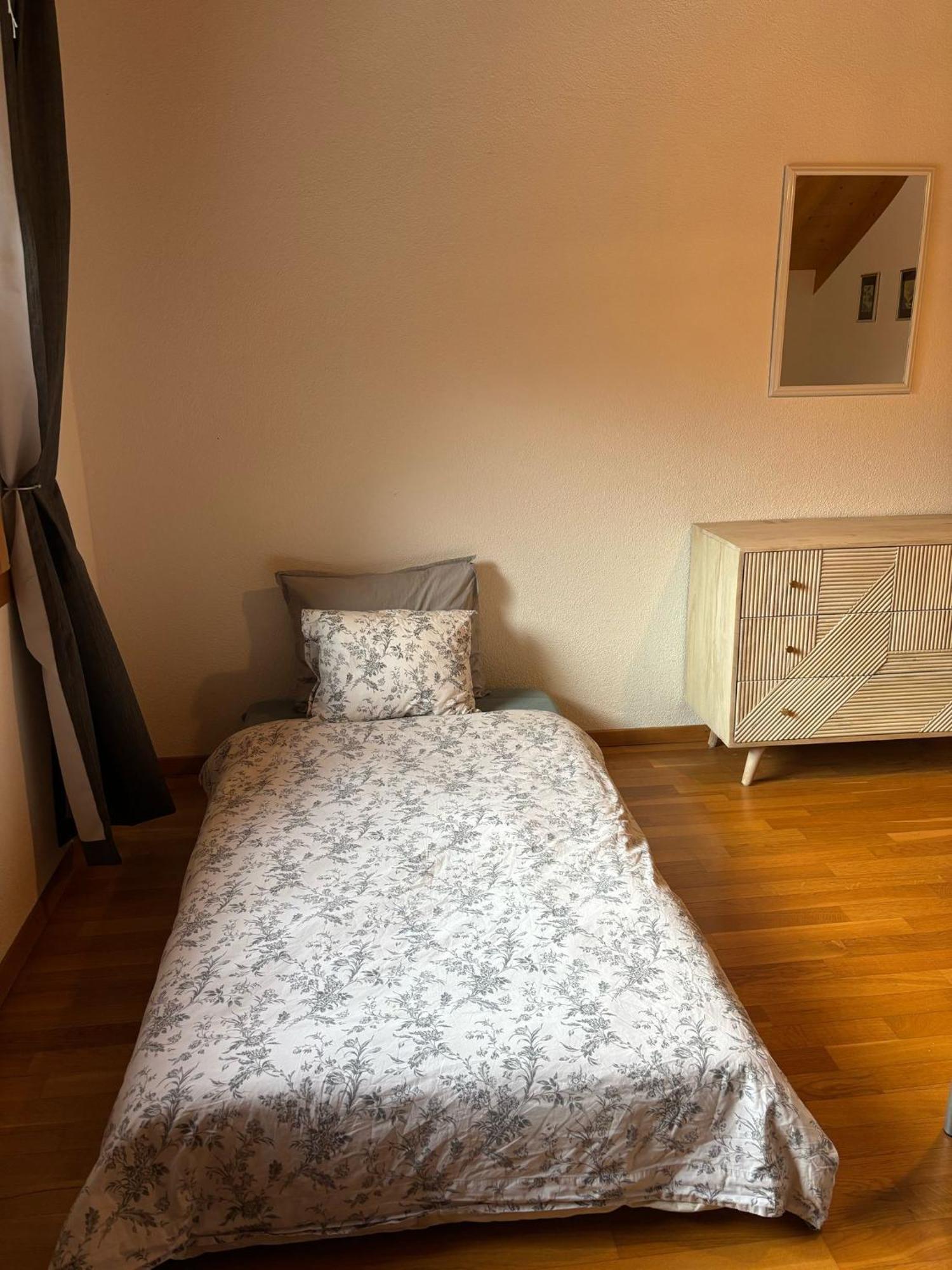 Charming Penthouse Appartement Lauterbrunnen Buitenkant foto